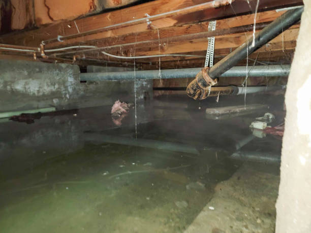 Best Residential water damage restoration  in Lake Oswego, OR