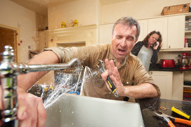 Best Water damage restoration specialists  in Lake Oswego, OR